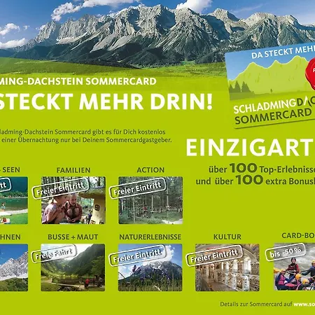 Kraftplatz Am Dachstein - Herold - Fuer Ruhesuchende Und Sportlich Aktive