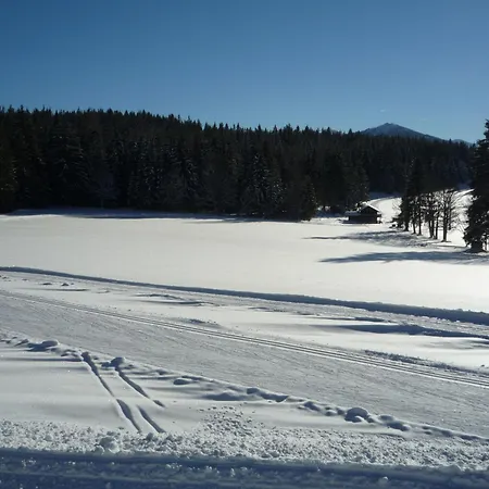 Kraftplatz Am Dachstein - Herold - Fuer Ruhesuchende Und Sportlich Aktive Рамзау