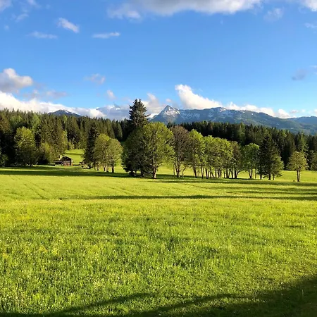 住宿加早餐酒店 Kraftplatz Am Dachstein - Herold - Fuer Ruhesuchende Und Sportlich Aktive
