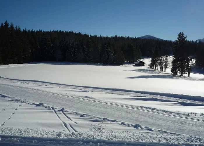 Kraftplatz Am Dachstein - Herold - Für Ruhesuchende Und Sportlich Aktive Ramsau am Dachstein