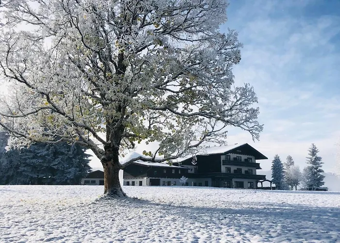 Frühstückspension Kraftplatz Am Dachstein - Herold - Für Ruhesuchende Und Sportlich Aktive Ramsau am Dachstein
