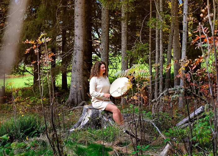 Kraftplatz Am Dachstein - Herold - Für Ruhesuchende Und Sportlich Aktive 3* Ramsau am Dachstein