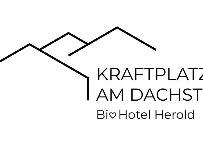 Kraftplatz Am Dachstein - Herold - Fuer Ruhesuchende Und Sportlich Aktive Ramsau am Dachstein